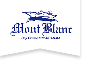 はやて運行管理システム